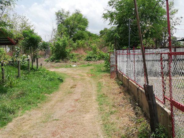 บ้านเดี่ยว 250000 อุบลราชธานี พิบูลมังสาหาร โพธิ์ศรี