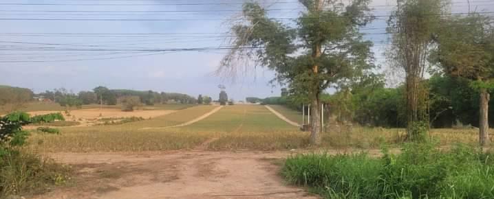 ที่ดิน 2500000 ระยอง กิ่งอำเภอนิคมพัฒนา พนานิคม