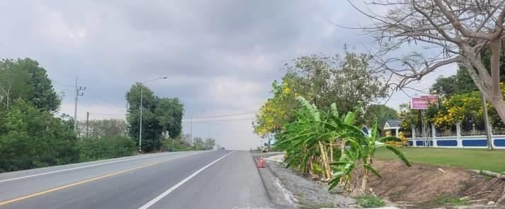 ที่ดิน 2300000 ระยอง กิ่งอำเภอนิคมพัฒนา มะขามคู่