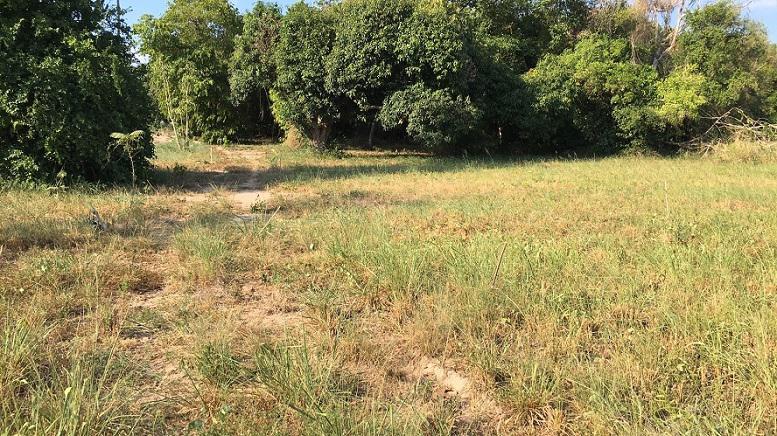 ที่ดิน 5500000 ระยอง เมืองระยอง ทับมา