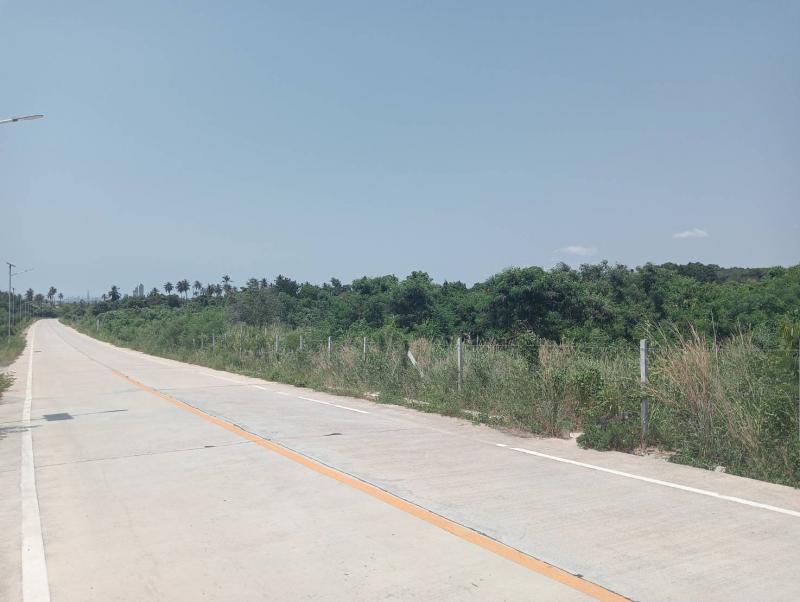 ที่ดิน 2300000 ชลบุรี สัตหีบ บางเสร่