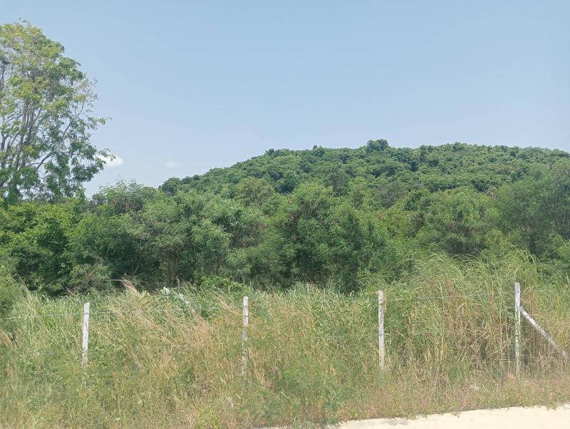 ที่ดิน 2300000 ชลบุรี สัตหีบ บางเสร่