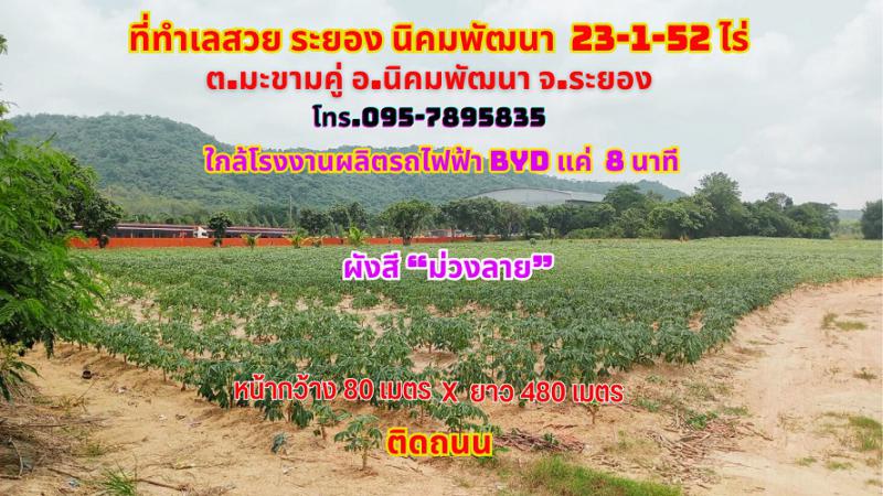 ที่ดิน 3500000 ระยอง กิ่งอำเภอนิคมพัฒนา มะขามคู่