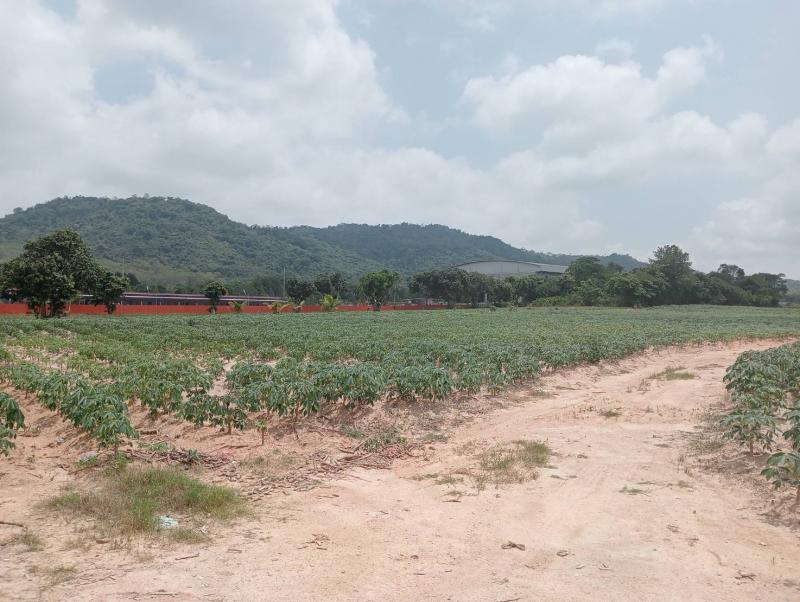 ที่ดิน 3500000 ระยอง กิ่งอำเภอนิคมพัฒนา มะขามคู่