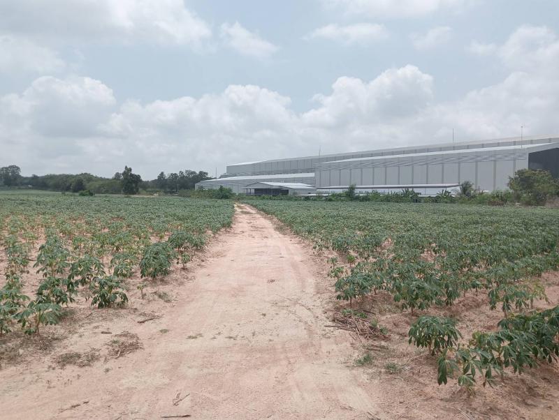 ที่ดิน 3500000 ระยอง กิ่งอำเภอนิคมพัฒนา มะขามคู่