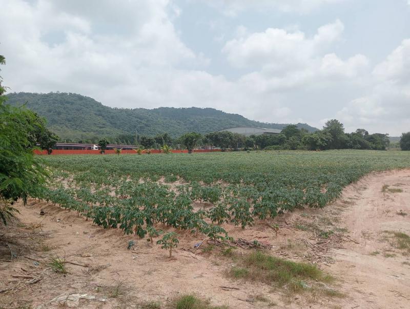 ที่ดิน 3500000 ระยอง กิ่งอำเภอนิคมพัฒนา มะขามคู่