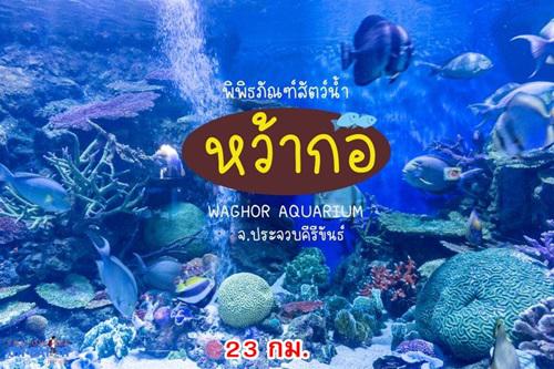 ที่ดิน 2956000 ประจวบคีรีขันธ์ เมืองประจวบคีรีขันธ์ อ่าวน้อย