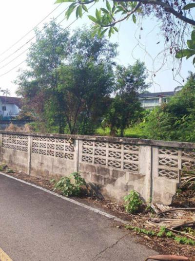 ที่ดิน 3000000 เชียงใหม่ หางดง หางดง