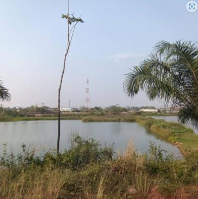 ที่ดิน 1900000 บึงกาฬ บึงกาฬ วิศิษฐ์