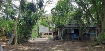 ที่ดิน 30000000 จันทบุรี สอยดาว ทรายขาว