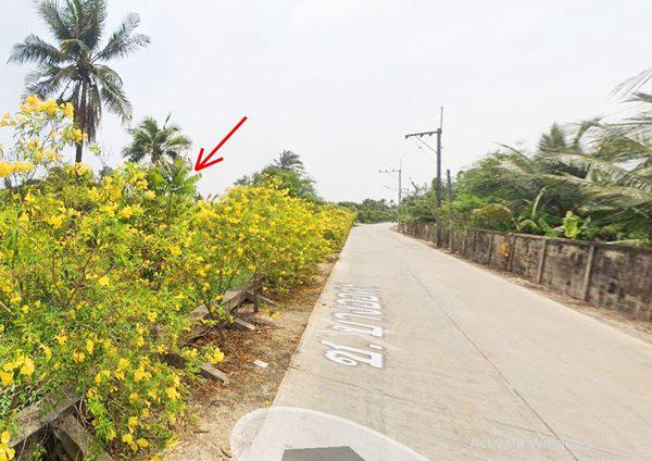 ที่ดิน 7500000 นครปฐม นครชัยศรี ขุนแก้ว