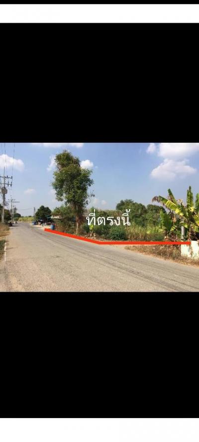 ที่ดิน 450000 ราชบุรี โพธาราม นางแก้ว
