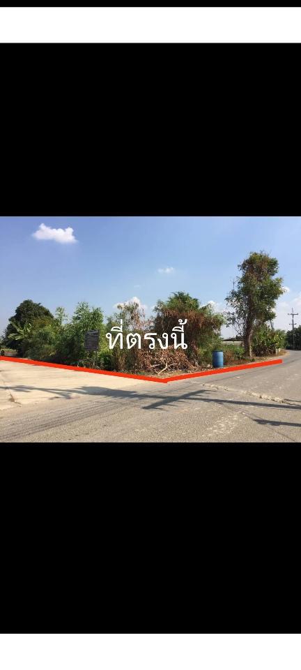 ที่ดิน 450000 ราชบุรี โพธาราม นางแก้ว
