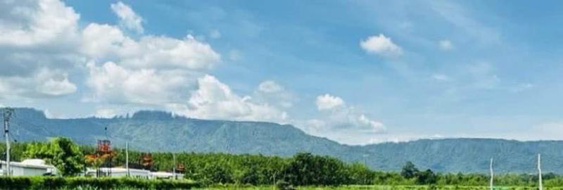 ที่ดิน 17784000 นครราชสีมา ปากช่อง หมูสี