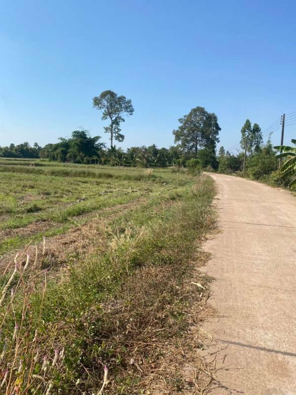 ที่ดิน 400000 ปราจีนบุรี ศรีมหาโพธิ หนองโพรง