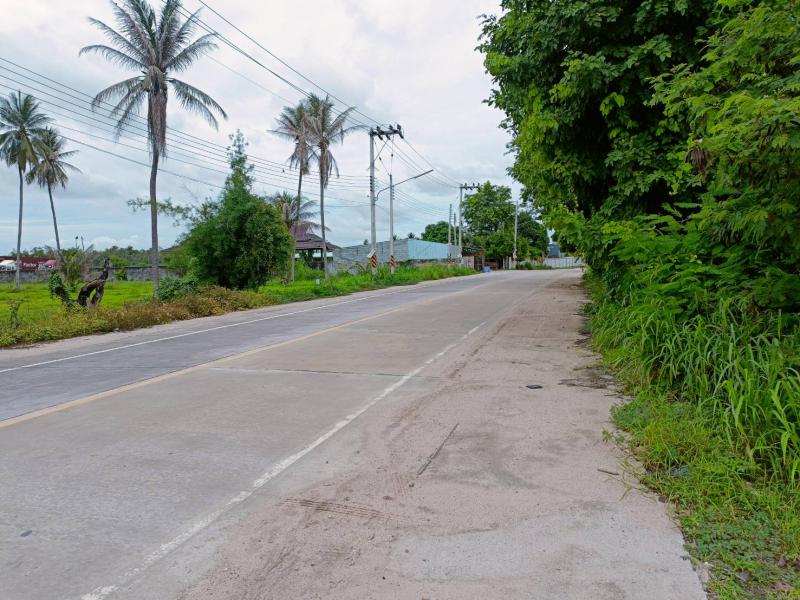 ที่ดิน 85000000 ชลบุรี ศรีราชา บึง
