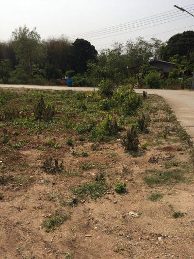 ที่ดิน 8000000 ปทุมธานี ลำลูกกา ลำลูกกา