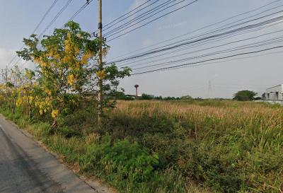 ที่ดิน 60000000 นนทบุรี ไทรน้อย ไทรใหญ่