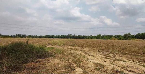 ที่ดิน 170000 ปราจีนบุรี ศรีมโหสถ โคกไทย