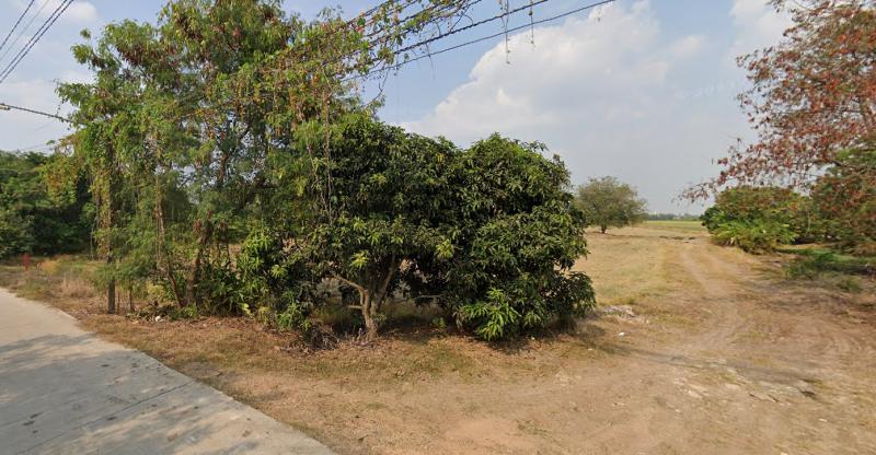 ที่ดิน 299542500 ปทุมธานี ลาดหลุมแก้ว หน้าไม้