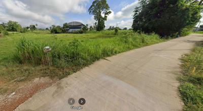 ที่ดิน 0 พิษณุโลก บางระกำ บางระกำ