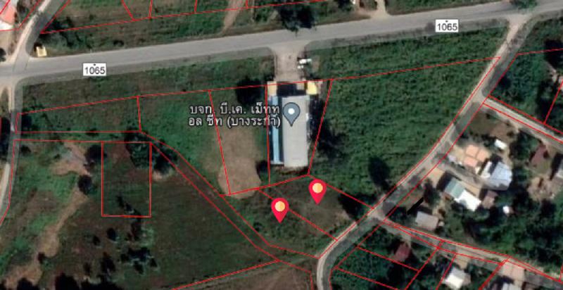 ที่ดิน 0 พิษณุโลก บางระกำ บางระกำ