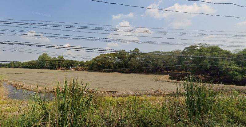 ที่ดิน 87210000 ปทุมธานี ลาดหลุมแก้ว คูขวาง