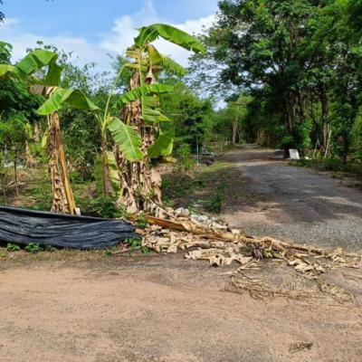 ที่ดิน 390000 อุดรธานี เมืองอุดรธานี หนองไผ่