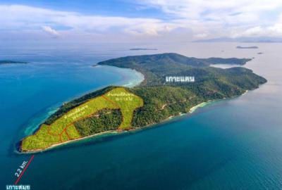 ที่ดิน 8000000 สุราษฎร์ธานี เกาะสมุย ตลิ่งงาม