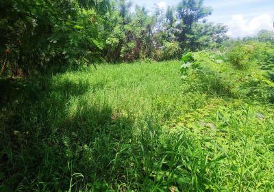 ที่ดิน 5000000 เชียงใหม่ เมืองเชียงใหม่ สุเทพ