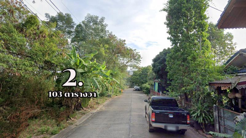 ที่ดิน 12000 มุกดาหาร เมืองมุกดาหาร ศรีบุญเรือง