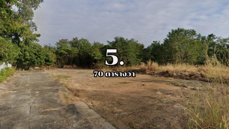 ที่ดิน 12000 มุกดาหาร เมืองมุกดาหาร ศรีบุญเรือง