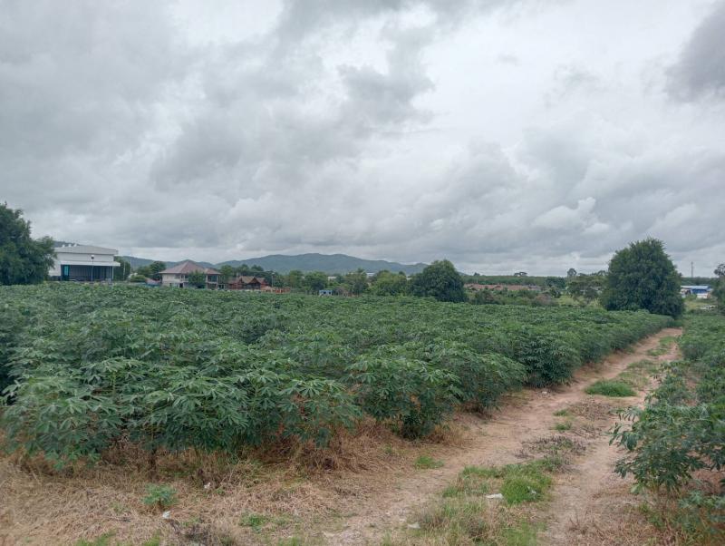 ที่ดิน 4000000 ระยอง เมืองระยอง ห้วยโป่ง