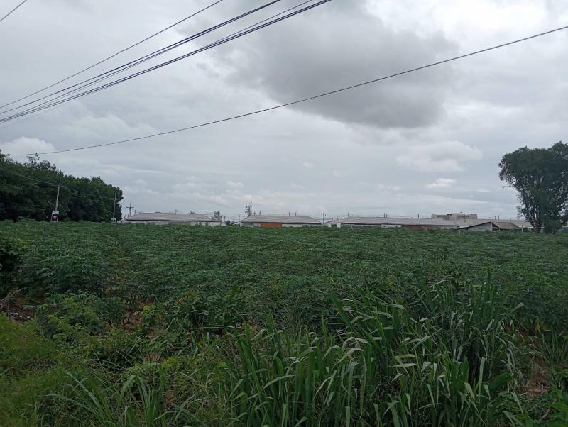 ที่ดิน 2800000 ระยอง ปลวกแดง ปลวกแดง