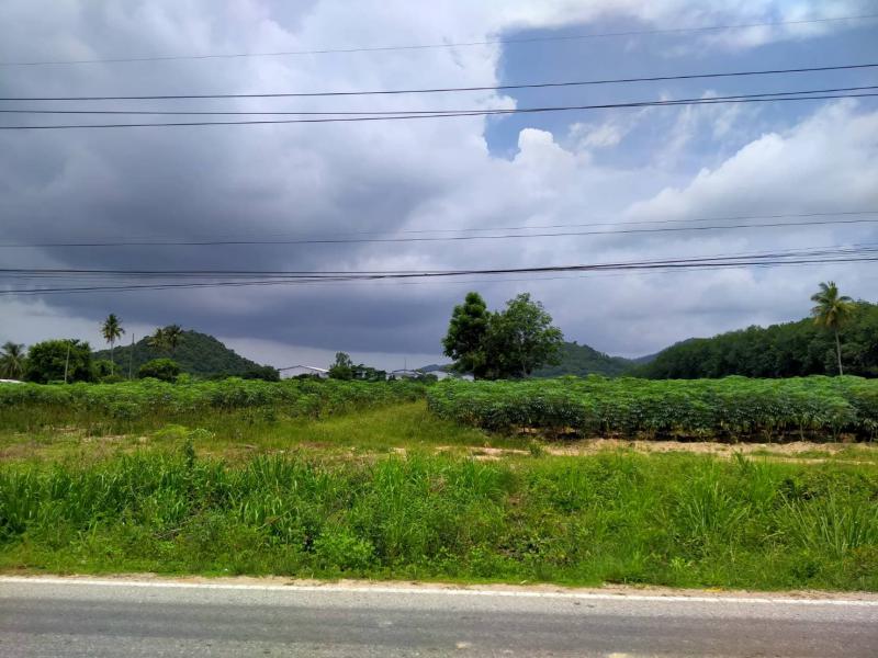 ที่ดิน 2500000 ระยอง กิ่งอำเภอนิคมพัฒนา พนานิคม