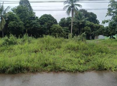 ที่ดิน 550000 หนองคาย ท่าบ่อ นาข่า