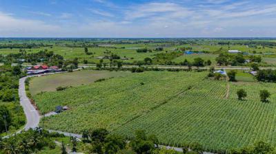 ที่ดิน 4800000 สุพรรณบุรี อู่ทอง หนองโอ่ง