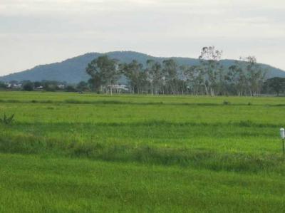 ที่ดิน 5460000 สุพรรณบุรี อู่ทอง หนองโอ่ง