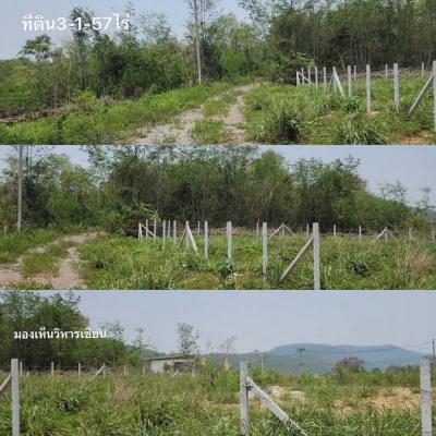 ที่ดิน 6500 นครราชสีมา ปากช่อง ปากช่อง