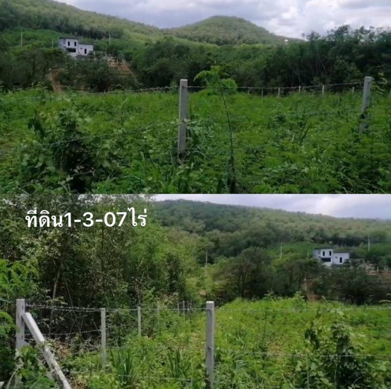 ที่ดิน 6500 นครราชสีมา ปากช่อง ปากช่อง