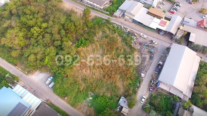 ที่ดิน 25088000 ปทุมธานี คลองหลวง คลองหนึ่ง
