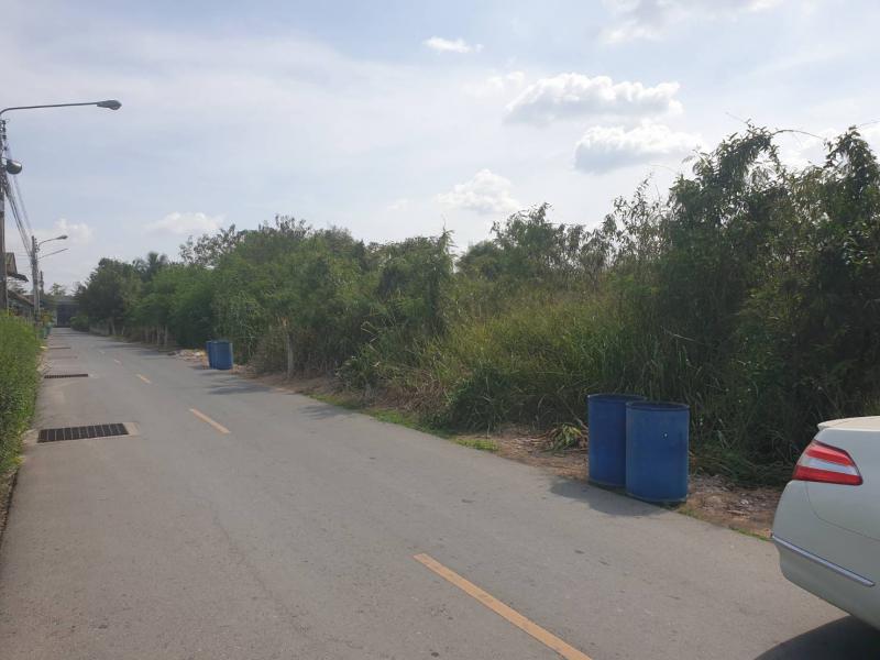 ที่ดิน 10000000 ชลบุรี บ้านบึง หนองอิรุณ