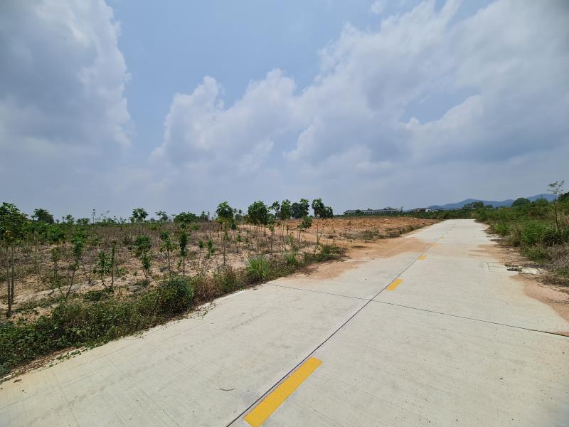 ที่ดิน 3000000 ชลบุรี ศรีราชา บึง