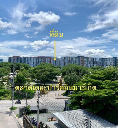 ที่ดิน 9800000 ชลบุรี เมืองชลบุรี แสนสุข