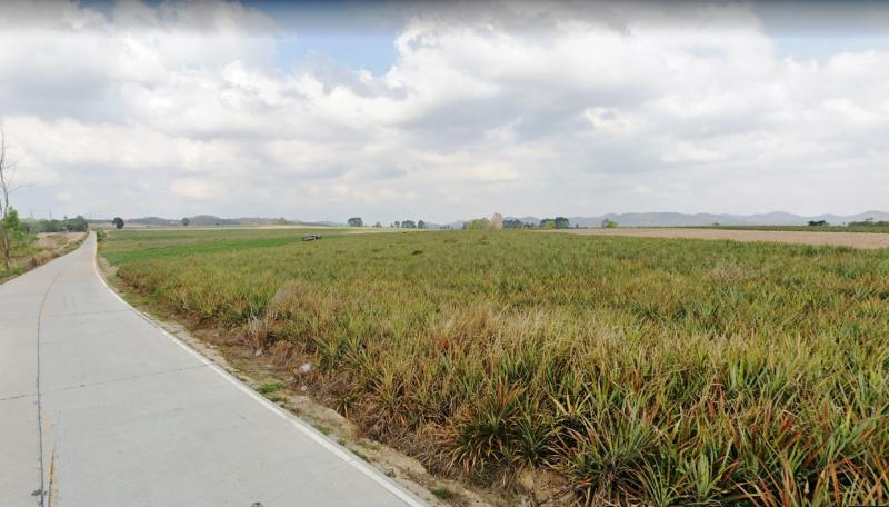 ที่ดิน 2000000 ชลบุรี บางละมุง เขาไม้แก้ว