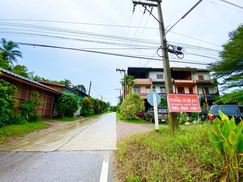 ที่ดิน 400000 ชุมพร เมืองชุมพร นาชะอัง