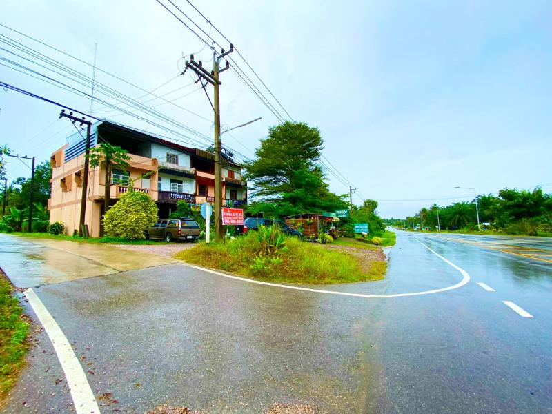 ที่ดิน 400000 ชุมพร เมืองชุมพร นาชะอัง