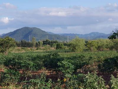 ที่ดิน 250000 ราชบุรี จอมบึง รางบัว