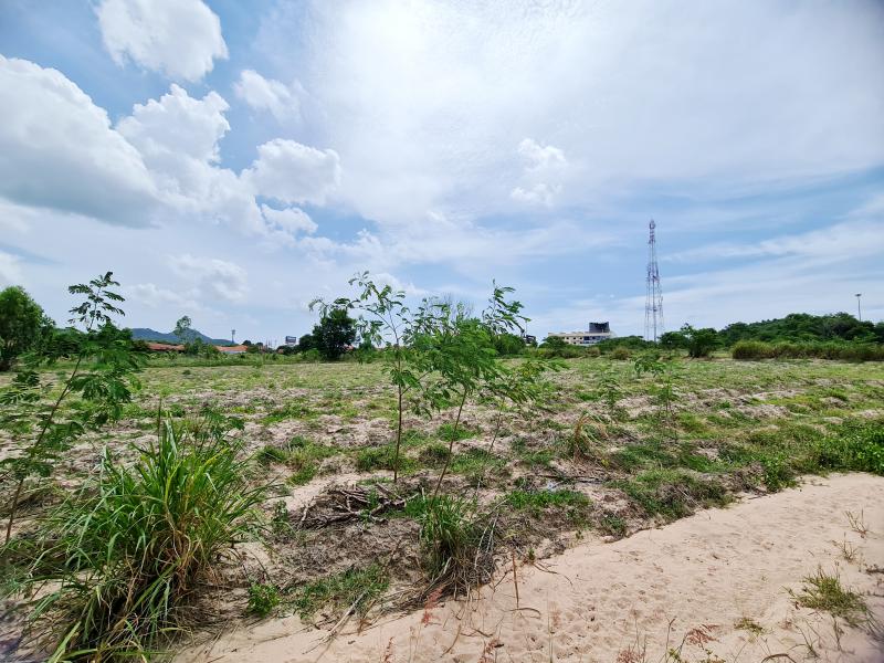 ที่ดิน 5500000 ชลบุรี ศรีราชา บ่อวิน