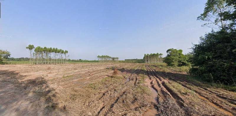 ที่ดิน 700000 ฉะเชิงเทรา พนมสารคาม หนองแหน